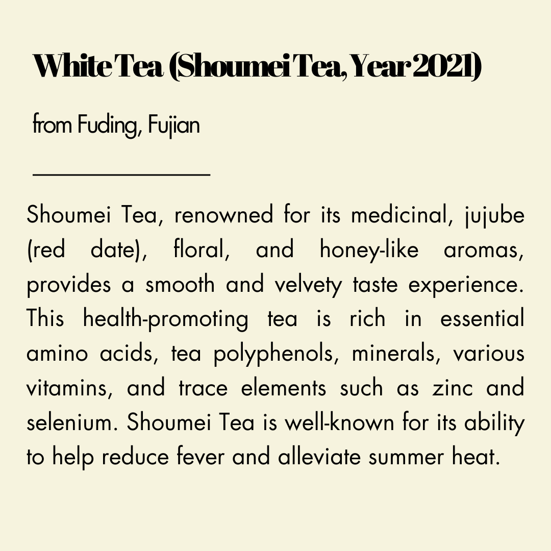 【White Tea (Shoumei Tea, Year 2021)】from Fuding, Fujian