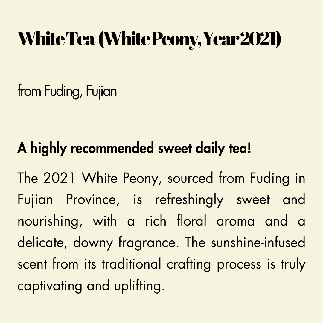【White Tea ( White Peony, Year 2021)】from Fuding, Fujian