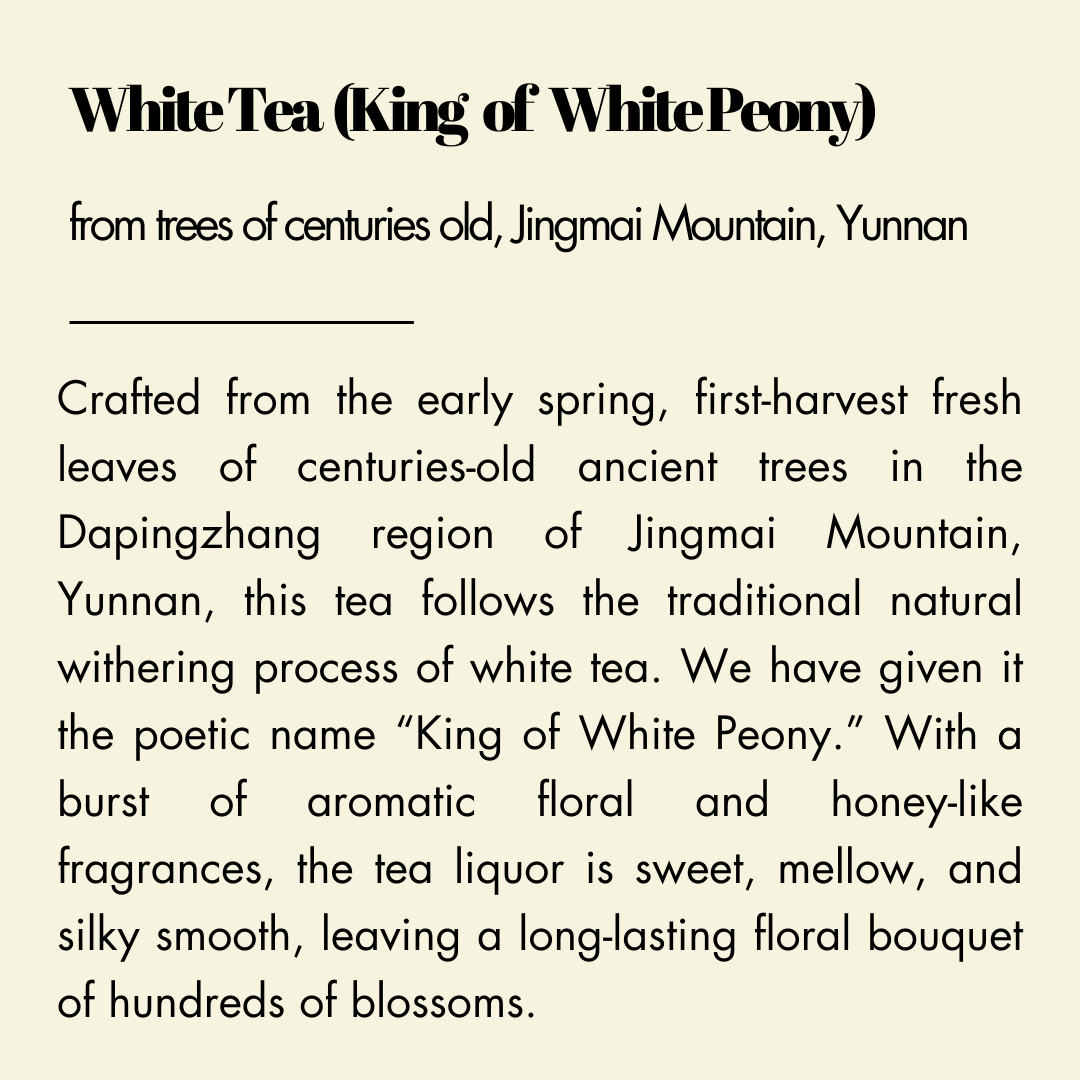 【WhiteTea(King of White Peony)】, from trees of centuries old, Jingmai Mountain, Yunnan