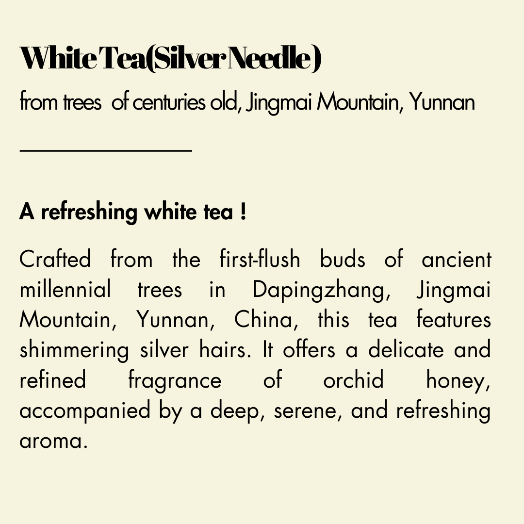 【White Tea(Silver Needle)】 from trees of centuries old, Jingmai Mountain, Yunnan
