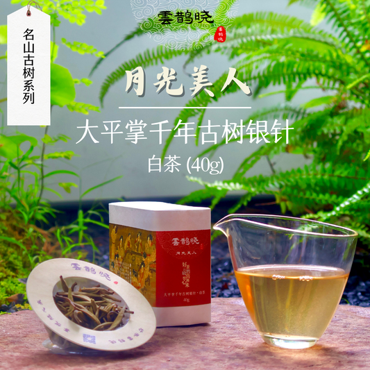 【Silver Needle (White Tea)】 from trees of centuries old, Jingmai Mountain, Yunnan